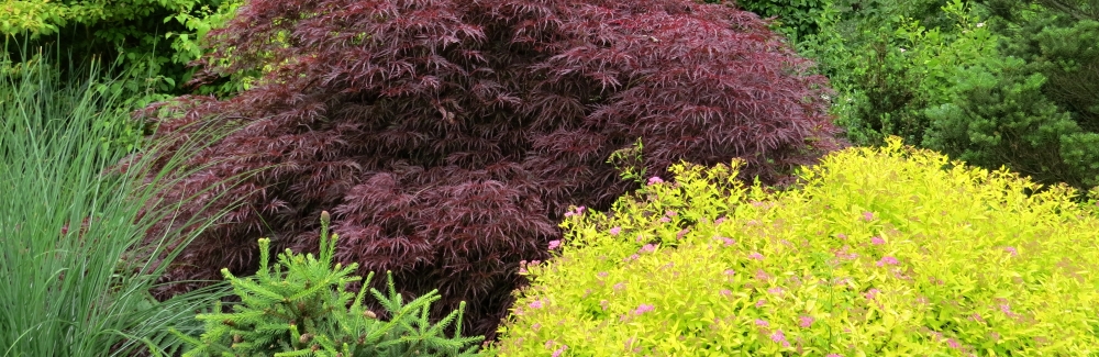 Pro malou zahradu_banner